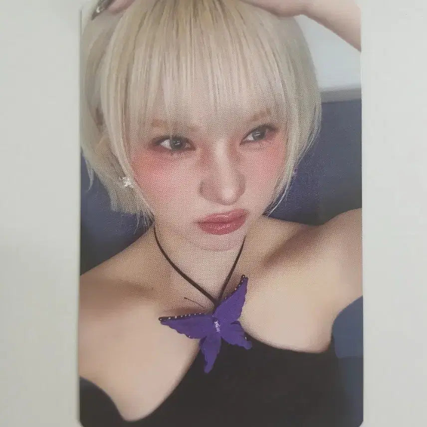 비비지 메쉬져지 은하포카 판매