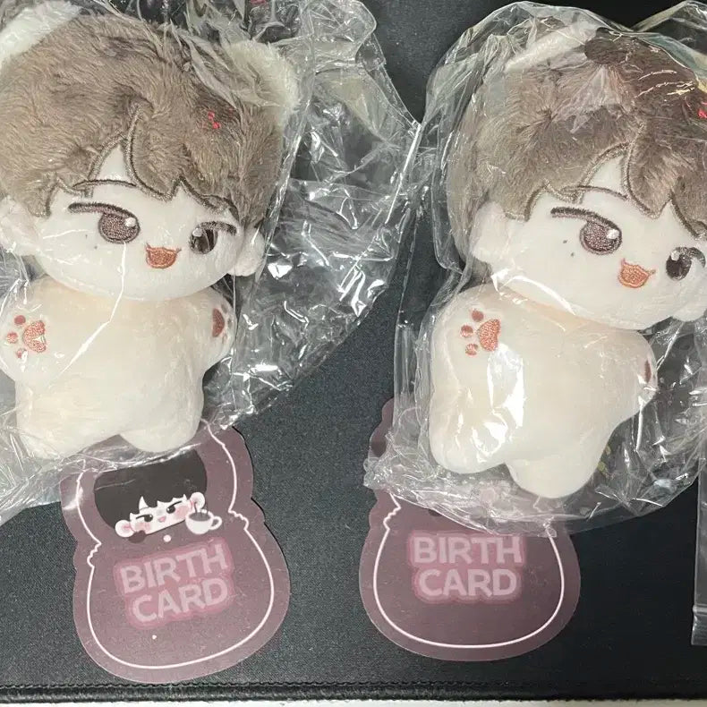 세븐틴 디노 인형 수달푸치노 별바디