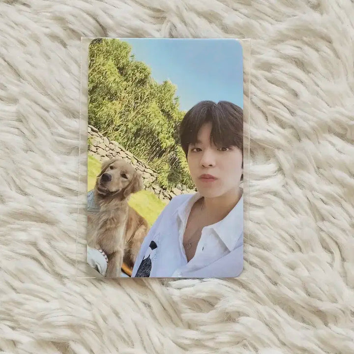 스키즈 stay in stay in jeju 승민 포카