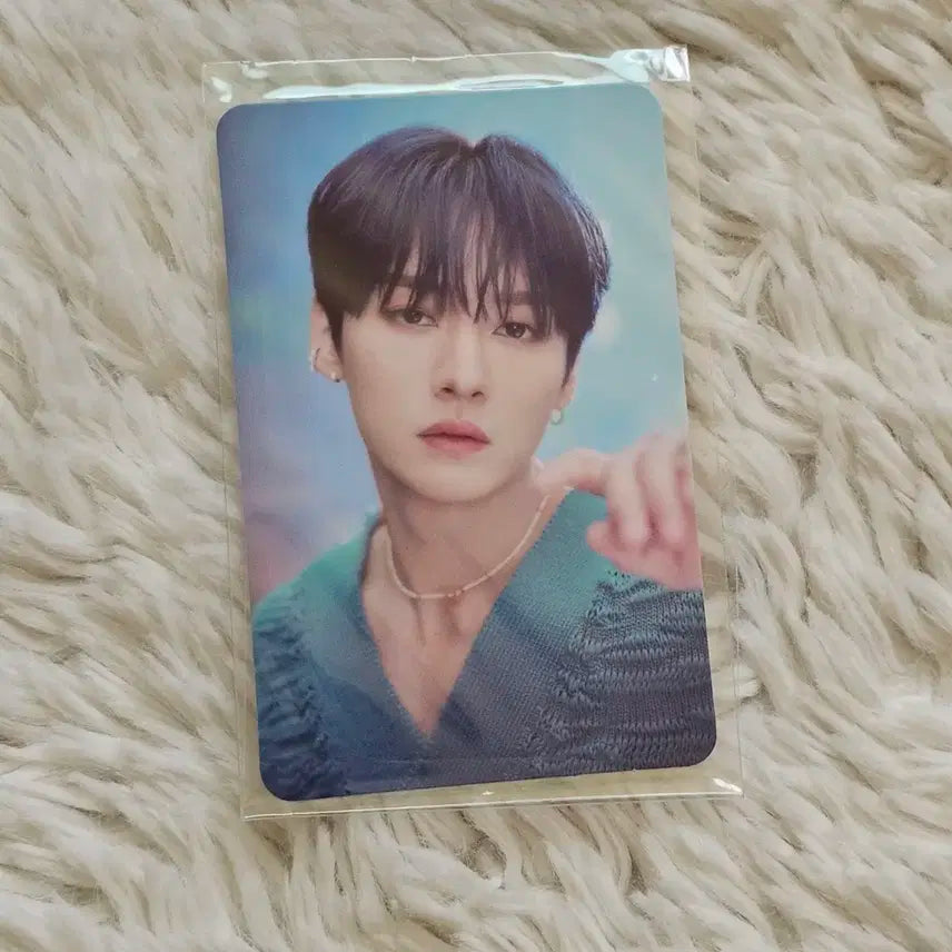 스키즈 stay in stay in 제주 리노 포카