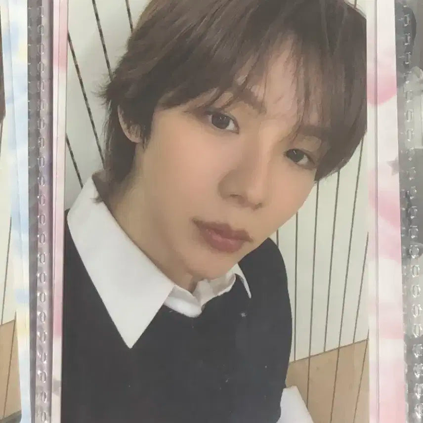 라이즈 쇼타로 오디세이 메가 스미니 포카 포토카드 양도
