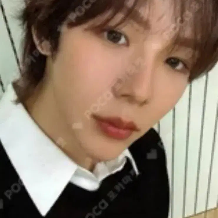 라이즈 쇼타로 오디세이 메가 스미니 포카 포토카드 양도