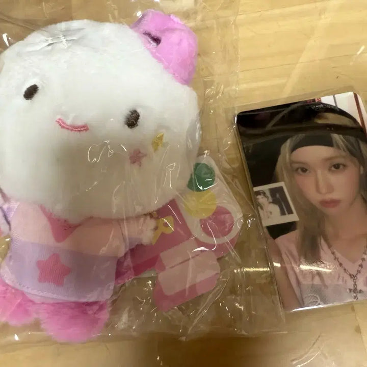 에스파 윈터 인형 뭉탱이(포카포함)