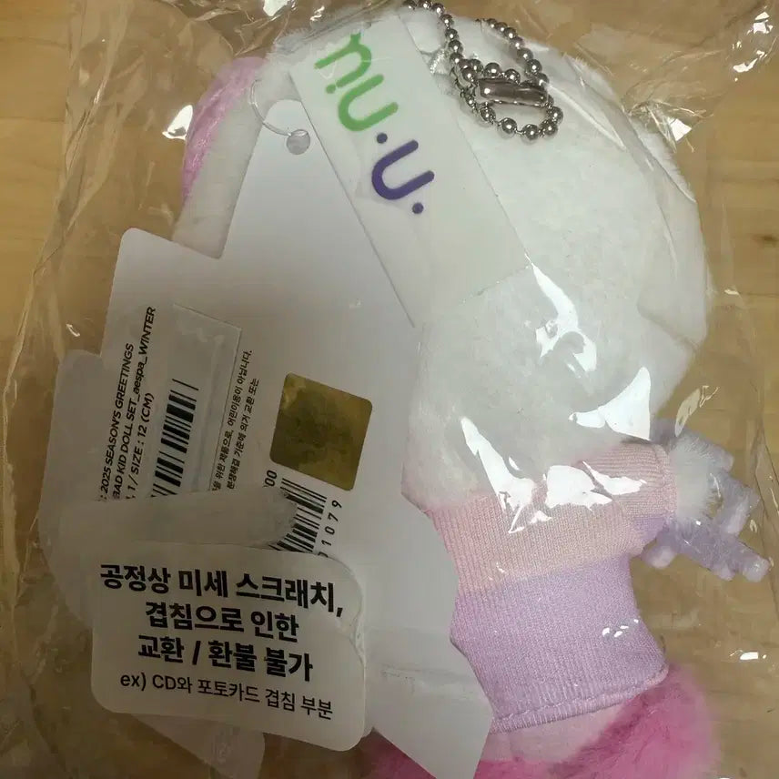 에스파 윈터 인형 뭉탱이(포카포함)