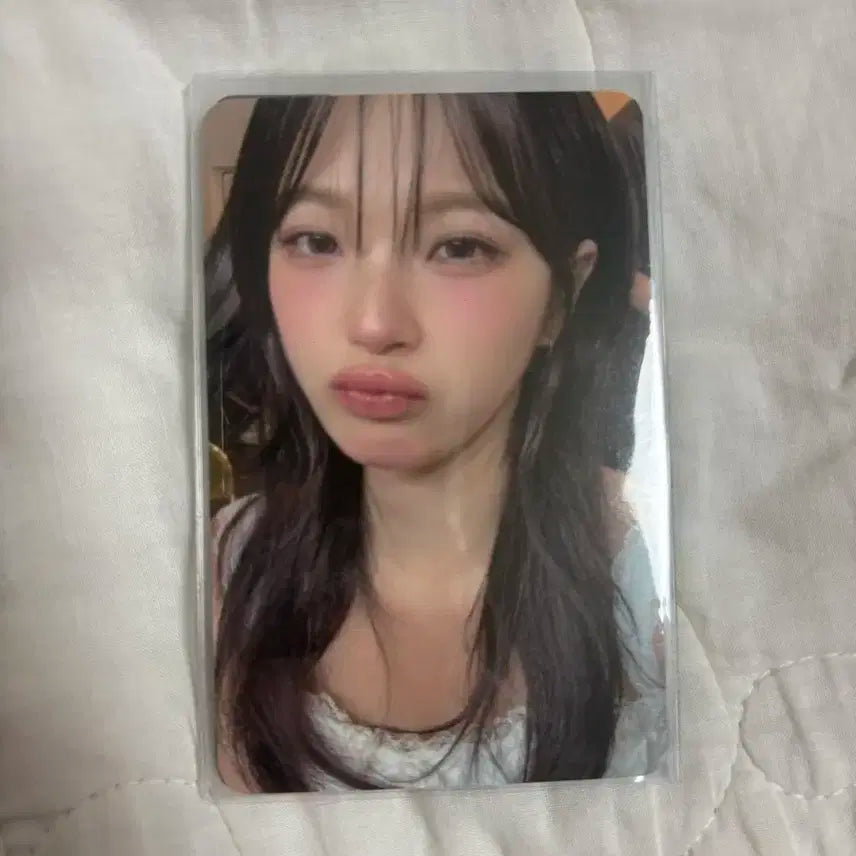 프로미스나인 콘서트 막콘 프롬 포카 지헌