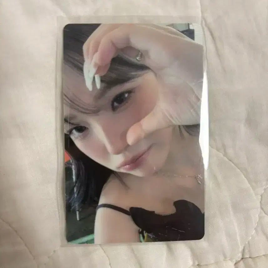 프로미스나인 콘서트 막콘 입장 포카 지헌