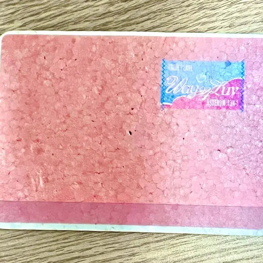 플레이브 PLAVE 첫콘 편지 컨페티