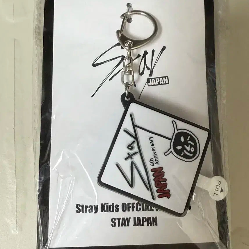 스키즈 리노 보이스키링 양도
