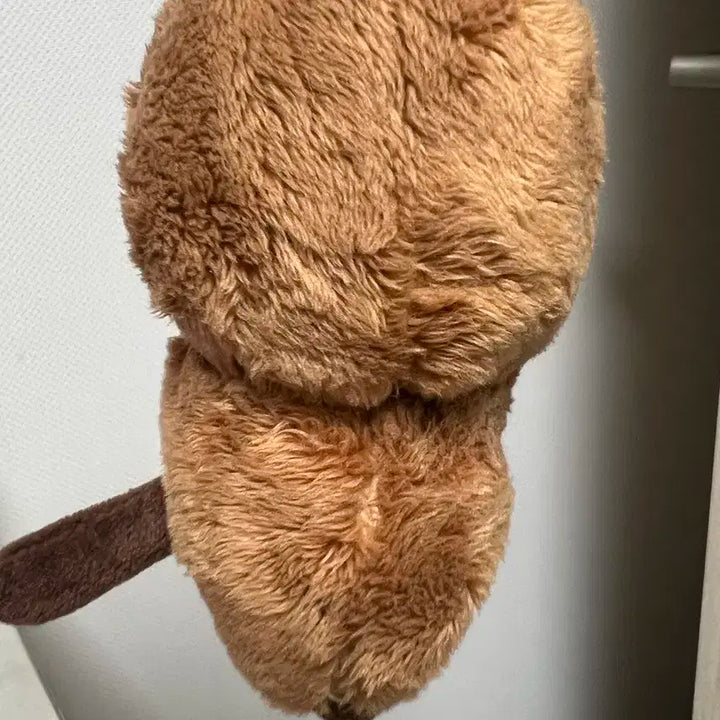 엔시티 정우 인형 쩡카