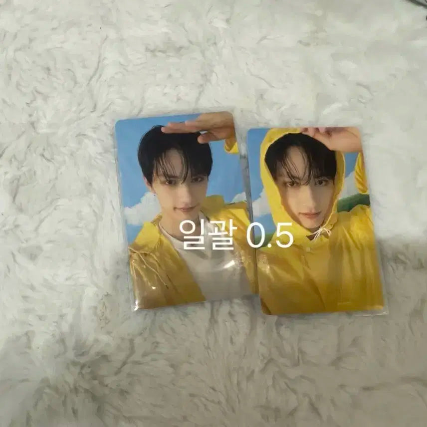 세븐틴 준 음악의 신 포카