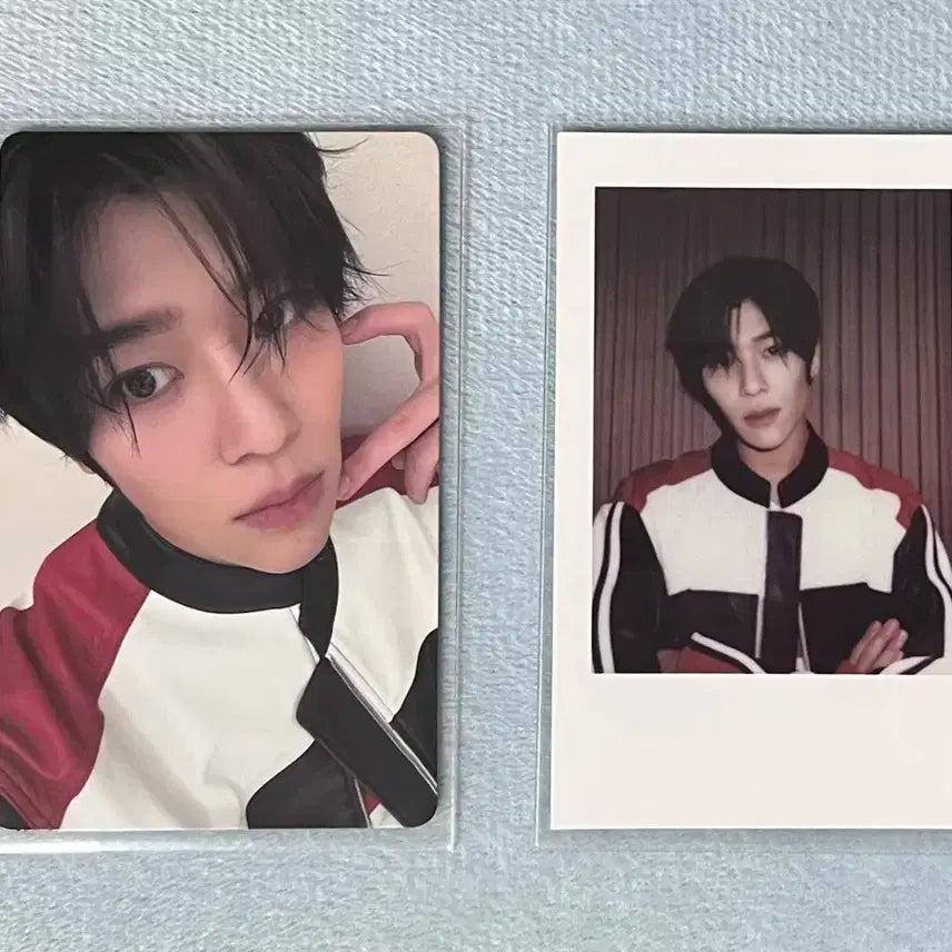 엔시티위시 스테디 kms 대면 팬싸 시온 포카 일괄 양도