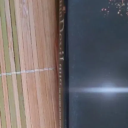 소녀시대 Run Devil Run 개봉앨범