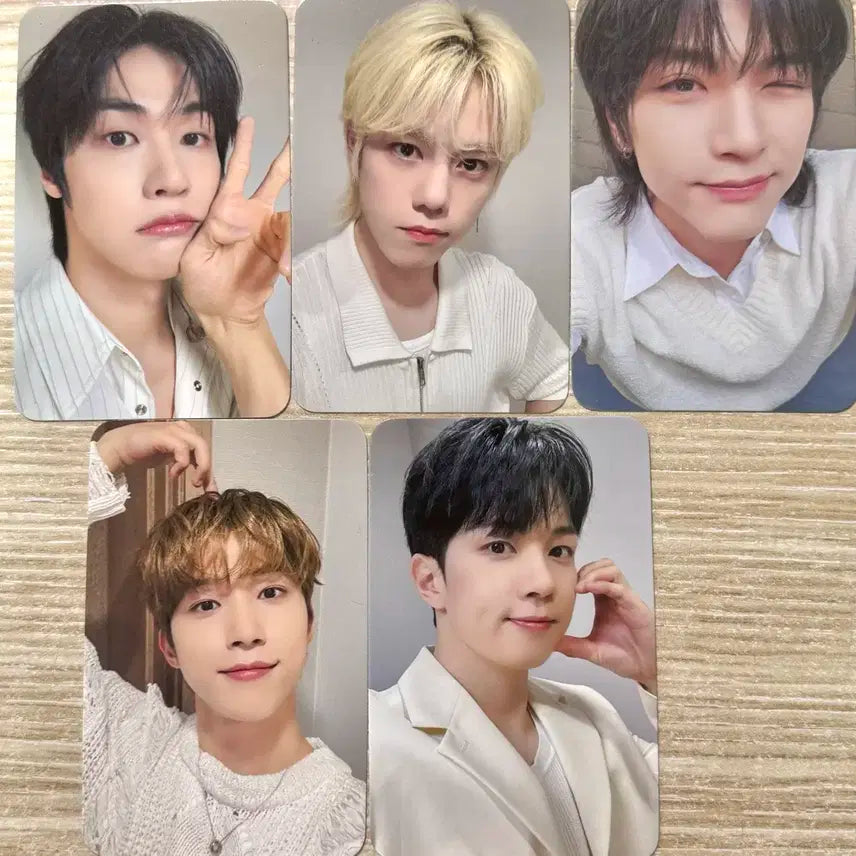 엔플라잉 디마뮤 미공포 양도