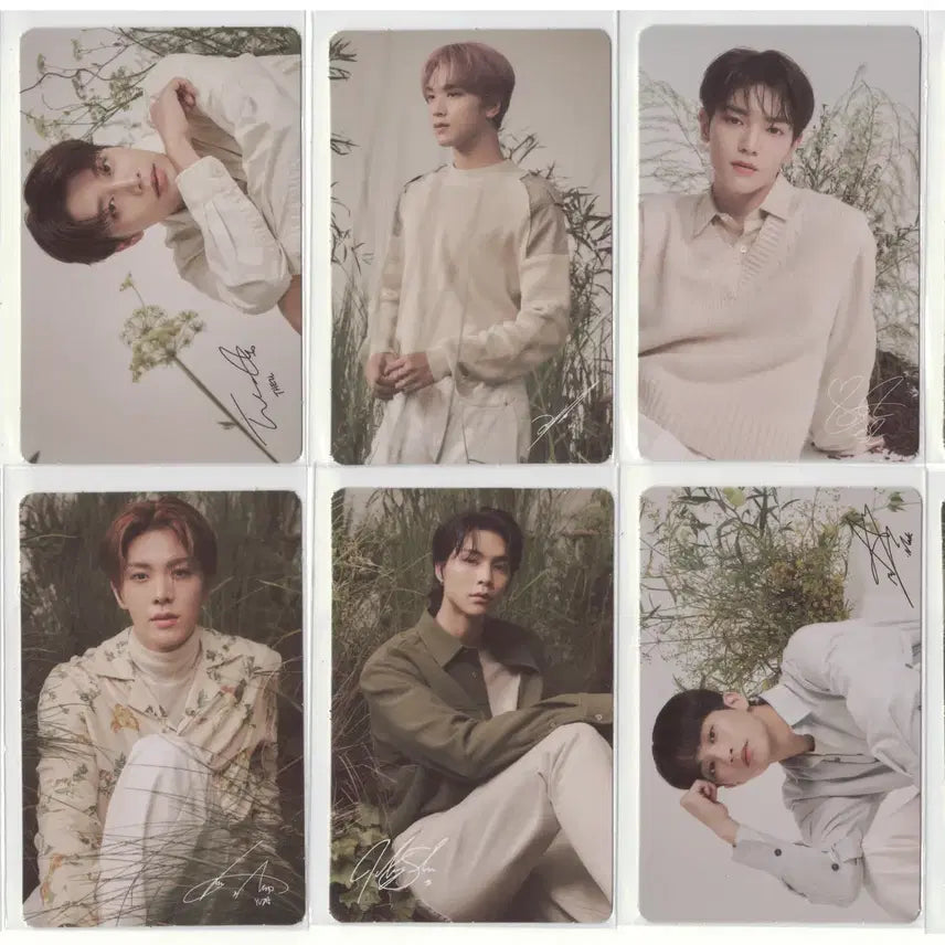 엔시티 시카의정원 포카세트