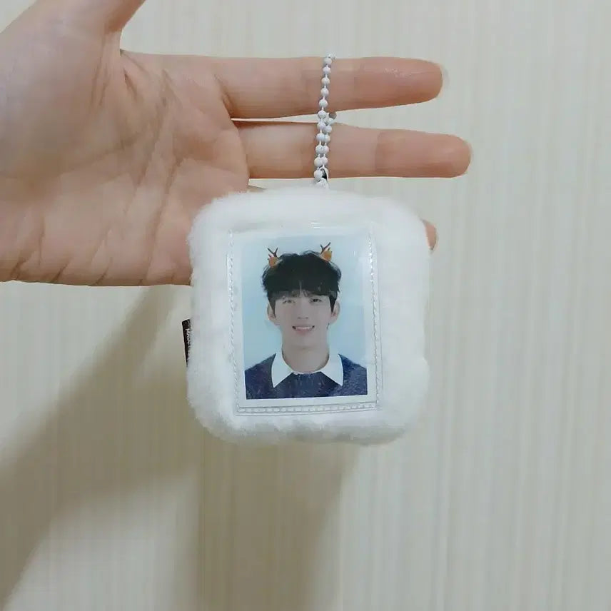 데이식스 쁘띠멀즈 id 포카홀더 증사2개 포함