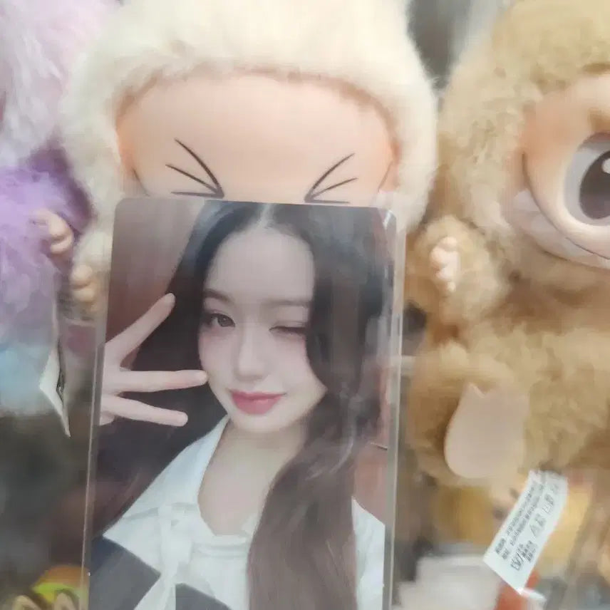 아이브 장원영 비얼라잇 초회한정판 앨포