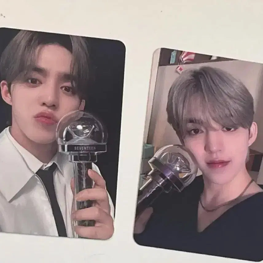 세븐틴 에스쿱스 캐럿존 일괄급처