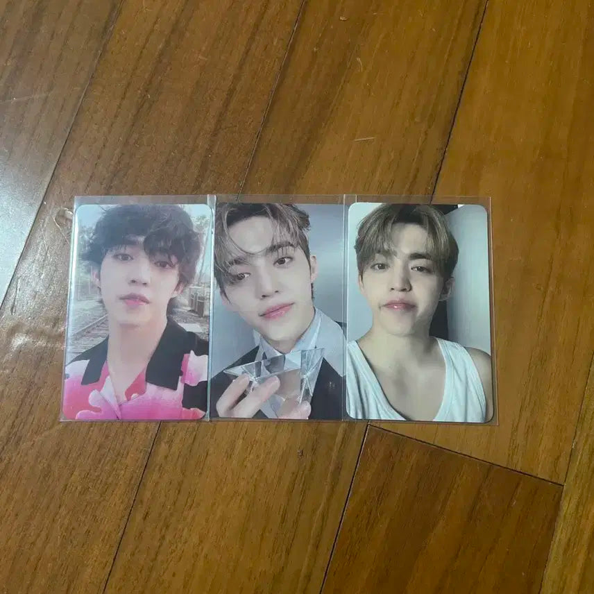 세븐틴 에스쿱스 포카