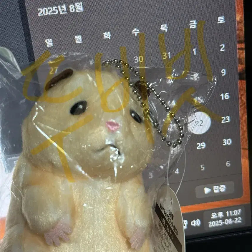 제로베이스원 성한빈 뚱쭝햄 스케로쿠의일상 마스코트