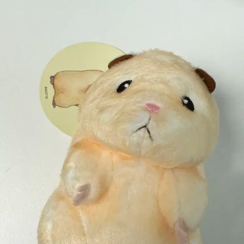 뚱쭝햄 스케로쿠의 일상 마스코트 인형 키링 제로베이스원 제베원 성한빈