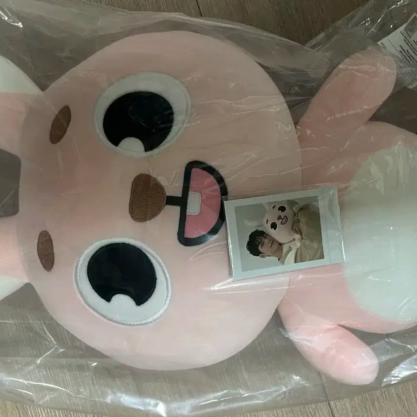 데이식스 자이언트 데니멀즈 필PIL 미개봉 폴라,포카 포함