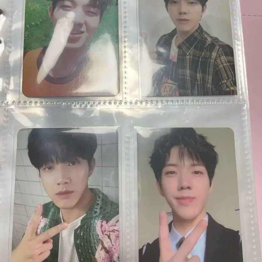 데이식스 포카 일괄