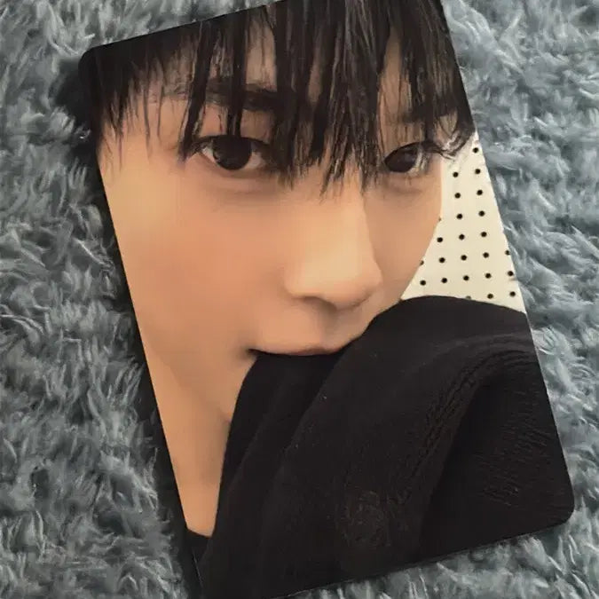 제로베이스원 제베원 성한빈 5집 특전 양도