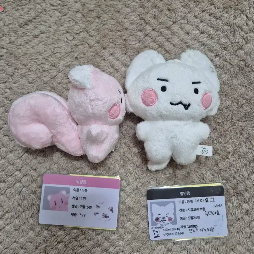 플레이브 암긍개 암다봉 일괄 양도