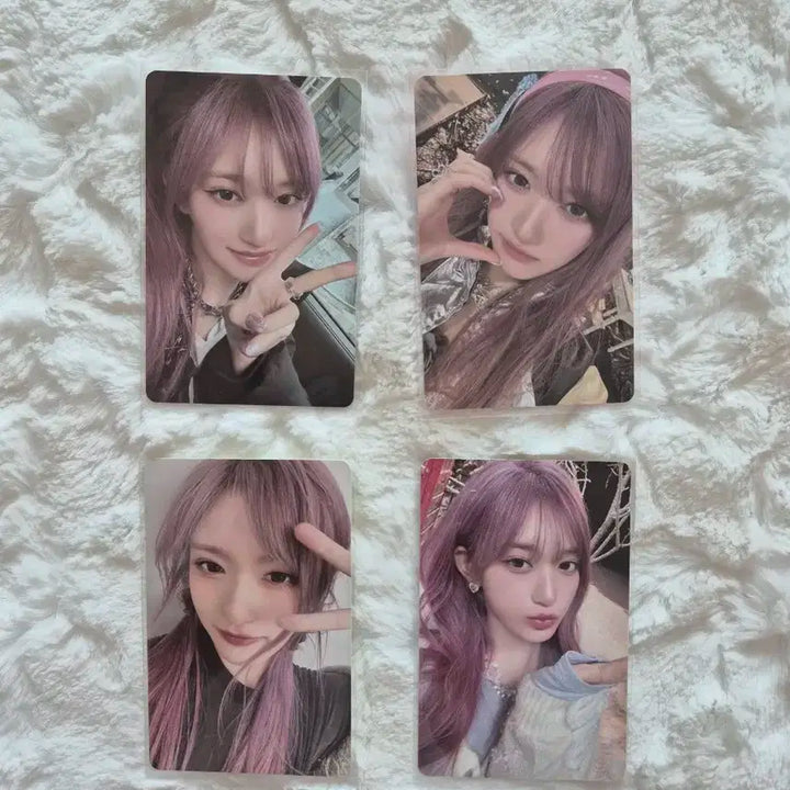 아이브 엠파시 앨범포카(이서)일괄