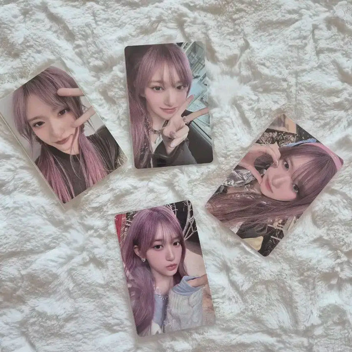 아이브 엠파시 앨범포카(이서)일괄