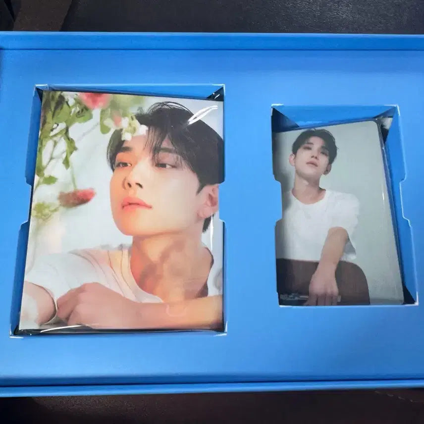 세븐틴 라잇히어 캐럿반 조슈아 판매