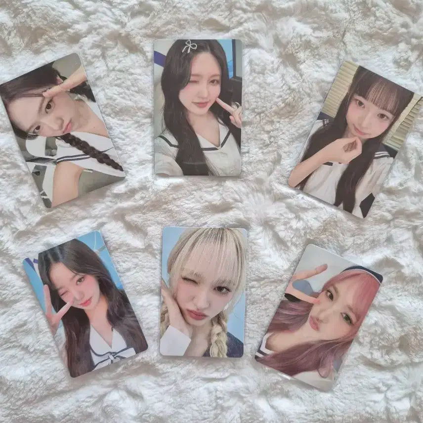 다이브4기 키트(포토카드)일괄