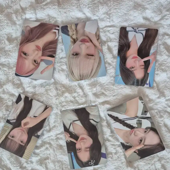 다이브4기 키트(포토카드)일괄