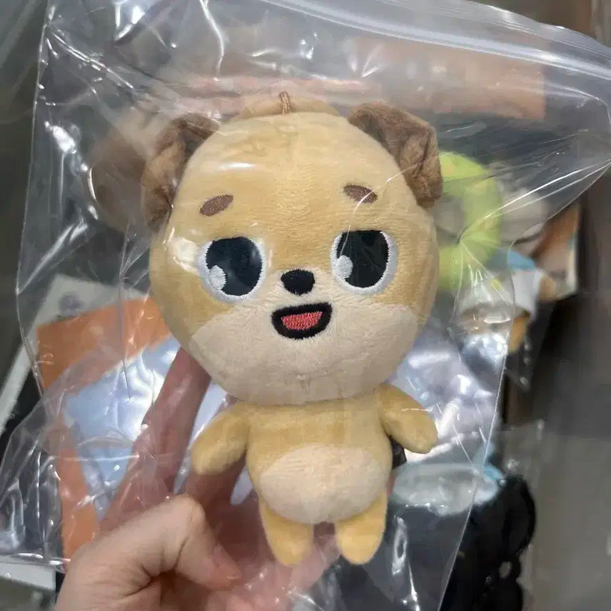 데이식스 데니멀즈 돈 20