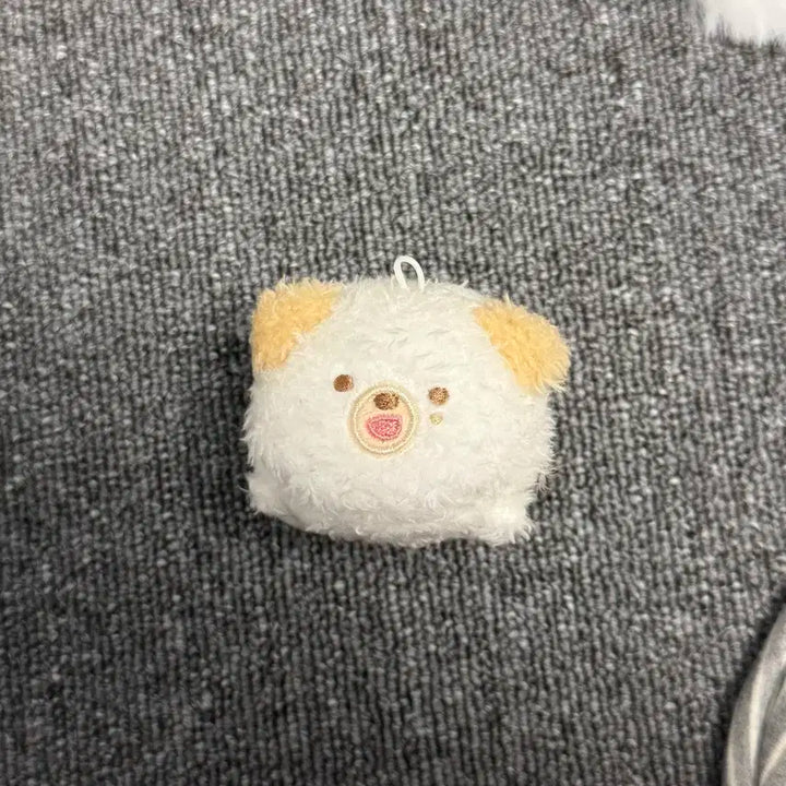쁘띠멀즈 사족보행 돈