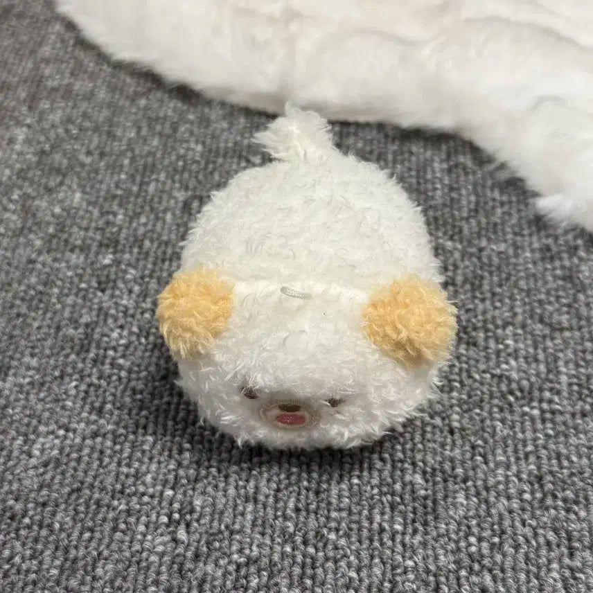 쁘띠멀즈 사족보행 돈