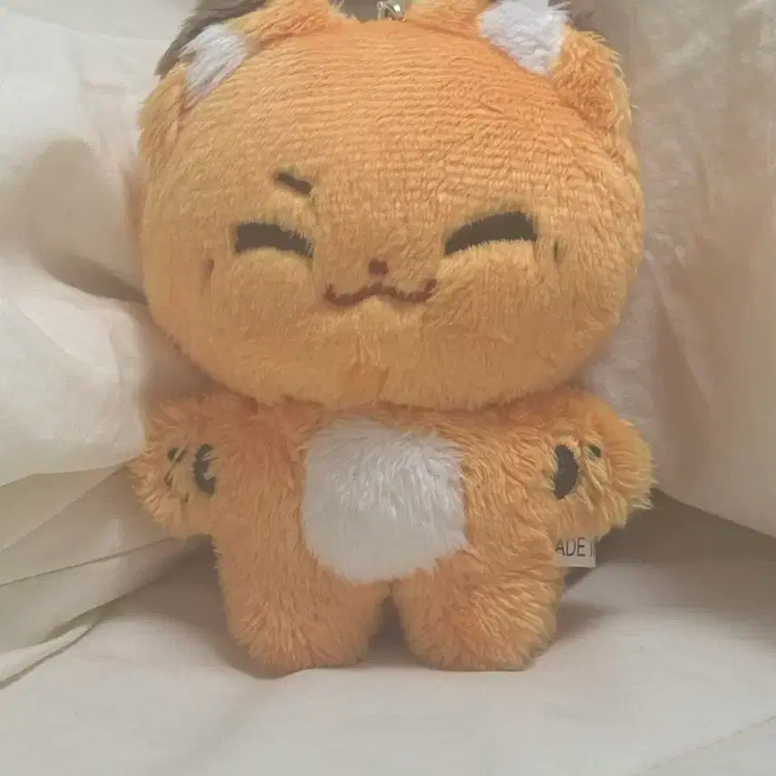 제베원 ZB1 석매튜 10cm 인형 여우튜 판매