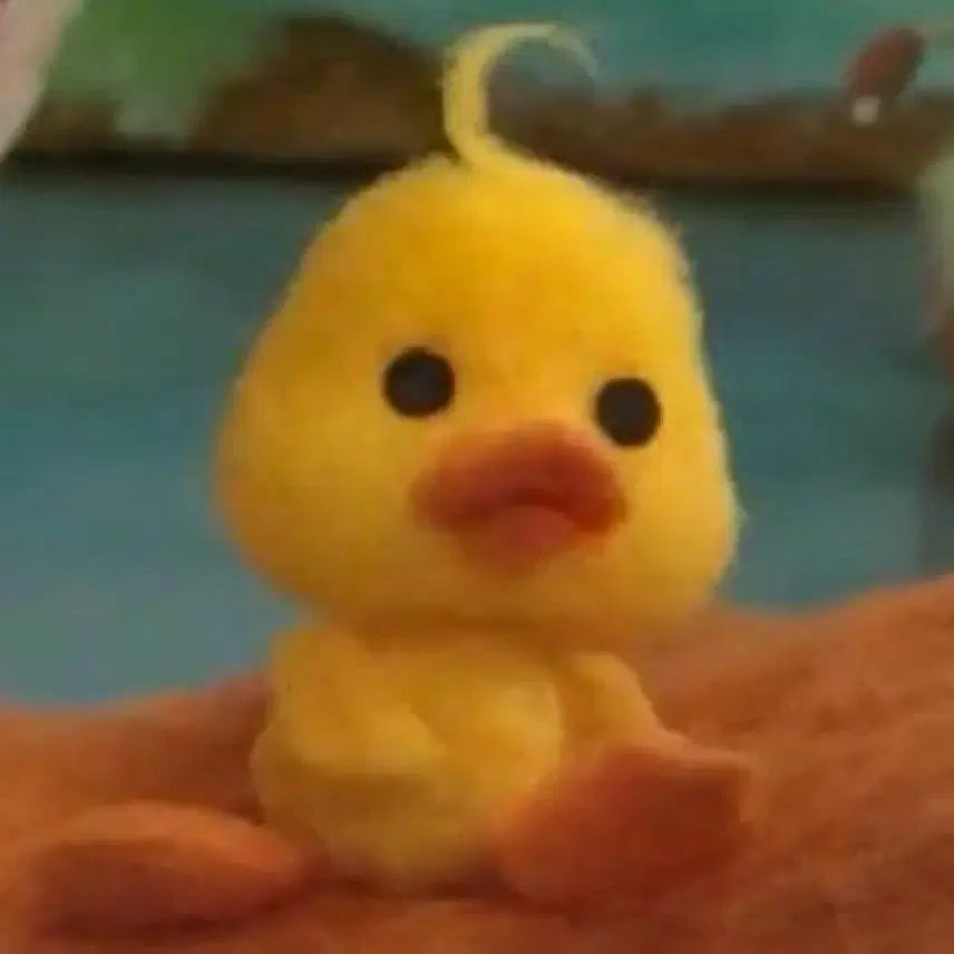 호시우지포카일괄판매
