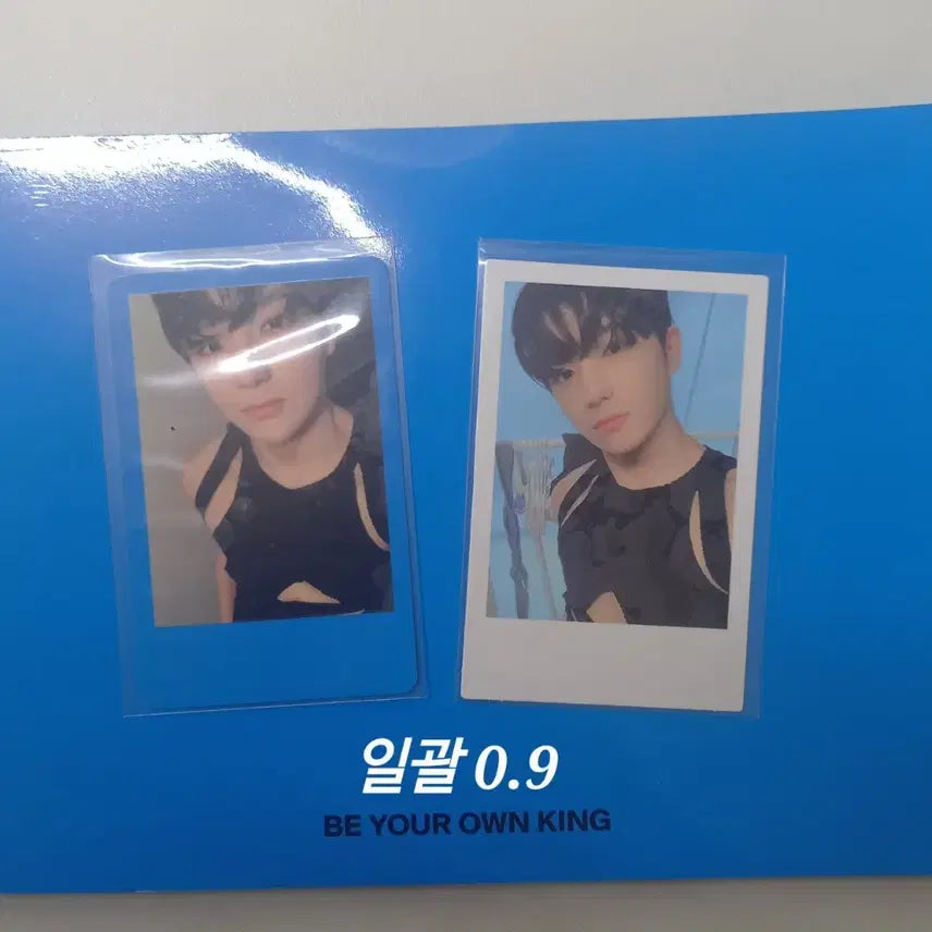 비온킹 현재 포카