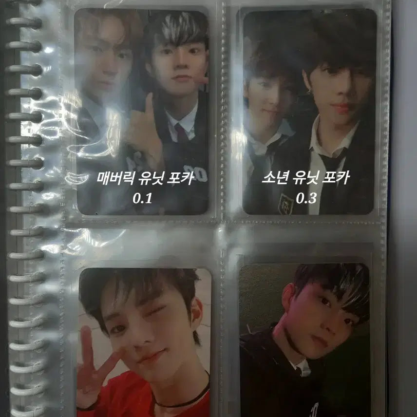 더보이즈 미공포,공포 포카 판매/ 많아요