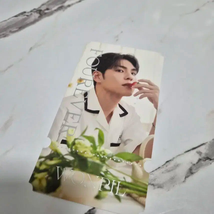 데이식스 원필 티켓 포카