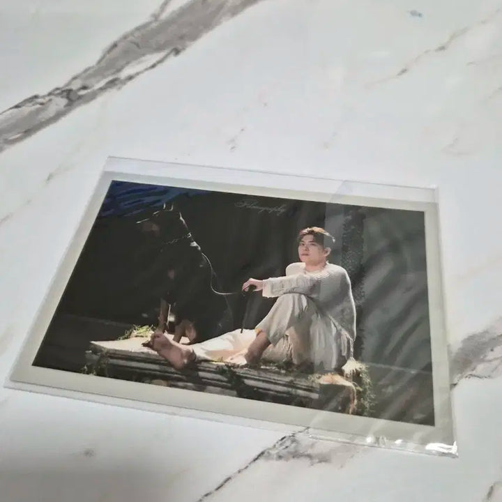 데이식스 원필 필모그래피 포카 미개봉