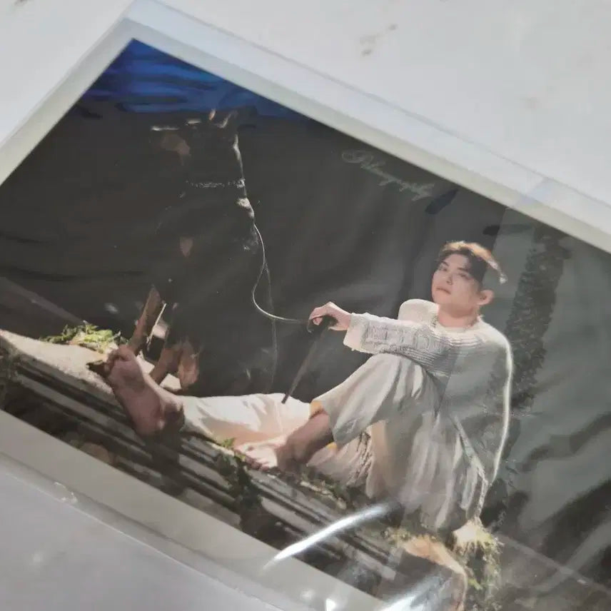 데이식스 원필 필모그래피 포카 미개봉