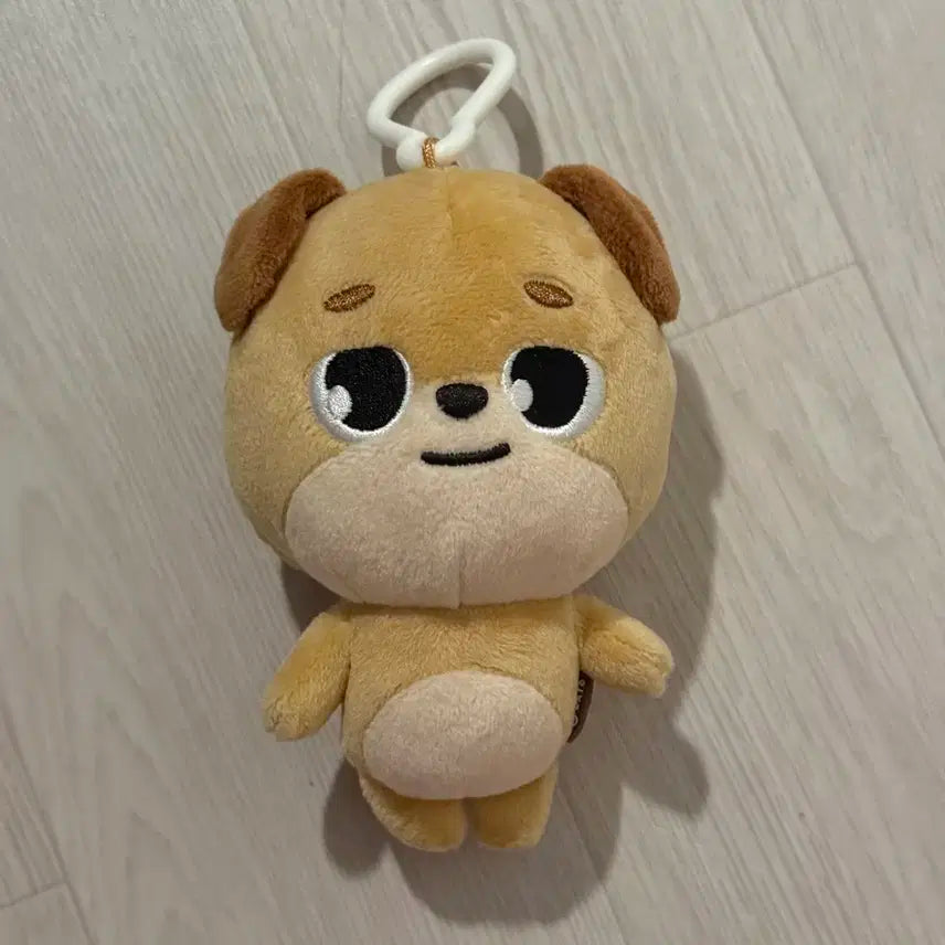 데니멀즈 19돈 2019 데이식스