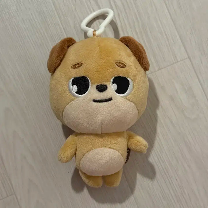 데니멀즈 19돈 2019 데이식스