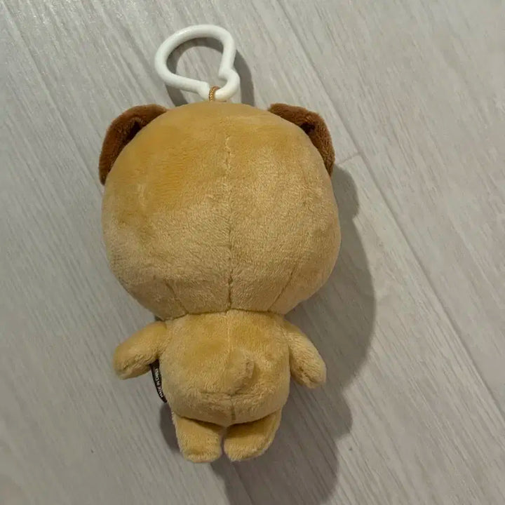 데니멀즈 19돈 2019 데이식스