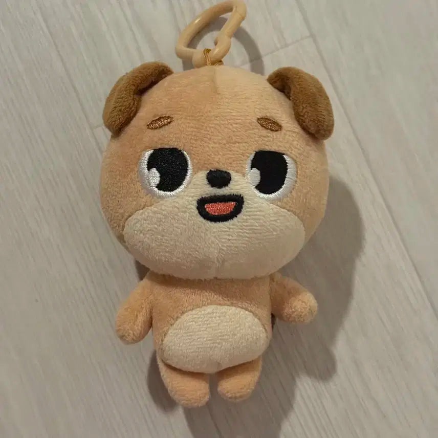 데니멀즈 20 돈 2020 데이식스