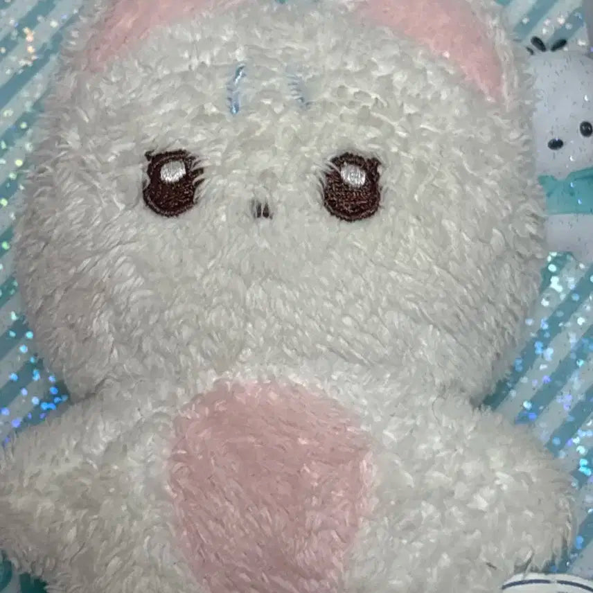 더보이즈 뉴 인형 짜니냥 판매합니다