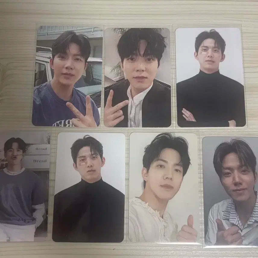 데이식스 도운 포카 일괄