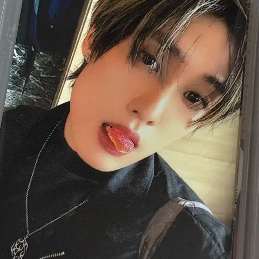 더보이즈 입장 포카 일괄 판매